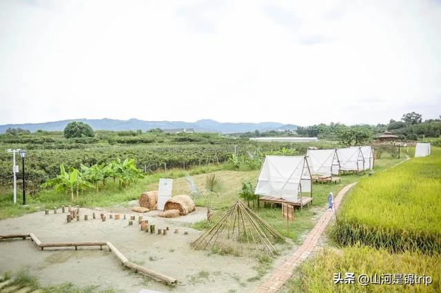 亲子游去哪里玩比较好，暑期亲子游（国内最具特色的十大亲子农场推荐）