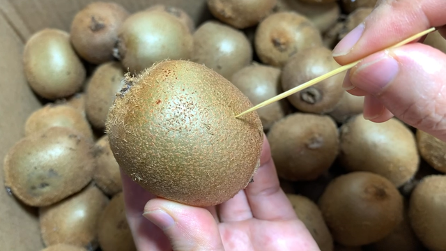 奇异果怎么去皮，奇异果的功效与作用图片（教你一招，3秒去皮不脏手）