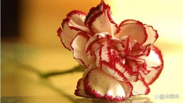 暖阳图片，冬日暖阳（《冬日暖阳》木若水/辽宁）