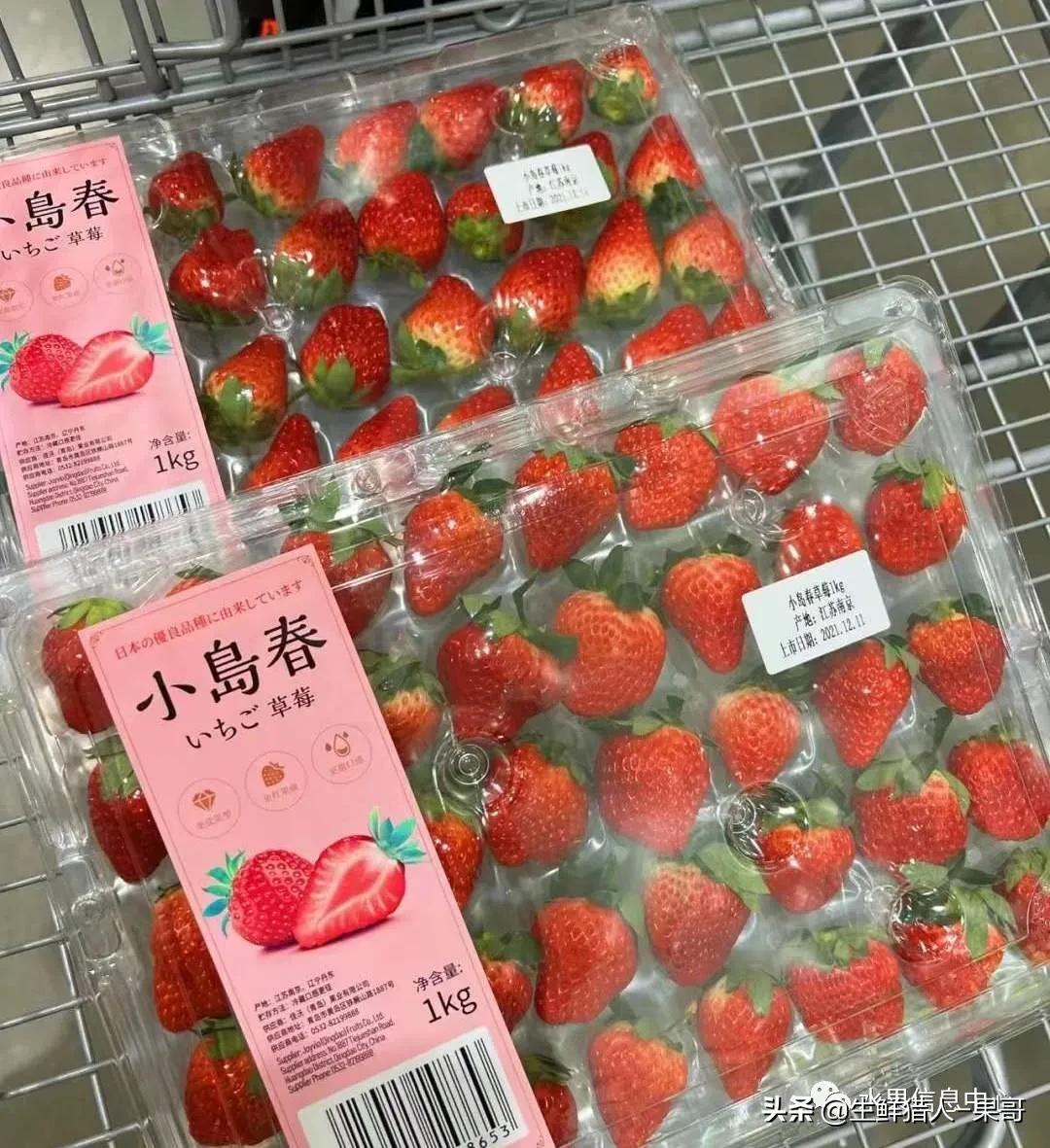 浆果是什么，浆果是什么软件（不同水果的不同包装<浆果篇>）