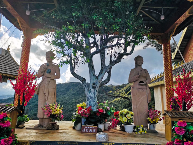 云南普洱旅游攻略自由行，民族风情不输西双版纳