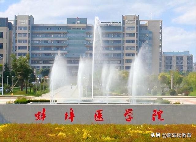 合肥师范学院分数线，合肥师范学院历年安徽省高考录取分数线（安徽一本线附近高校录取分数线预测）