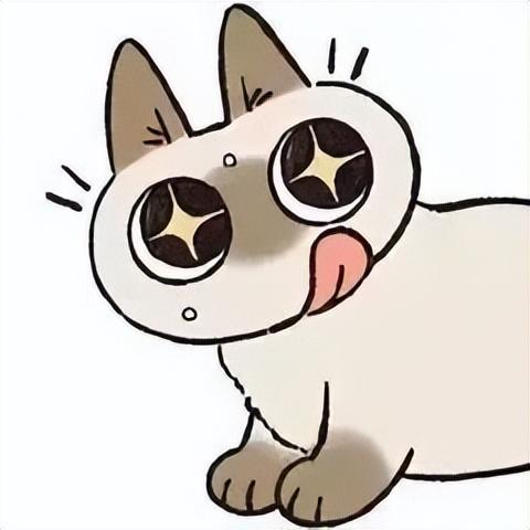 好看的表情包(10000种表情包图片大全)