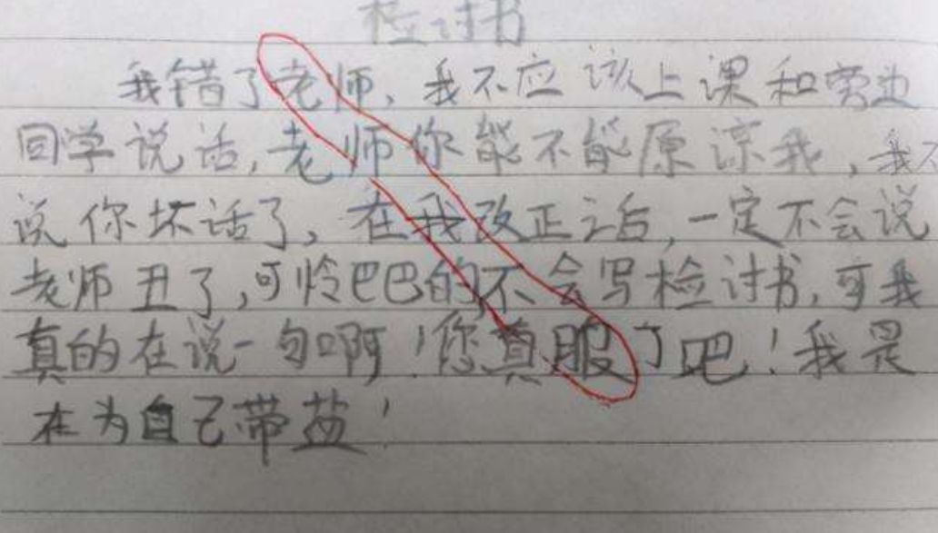 学校打架检讨书3000字（老师你丑还不让说）