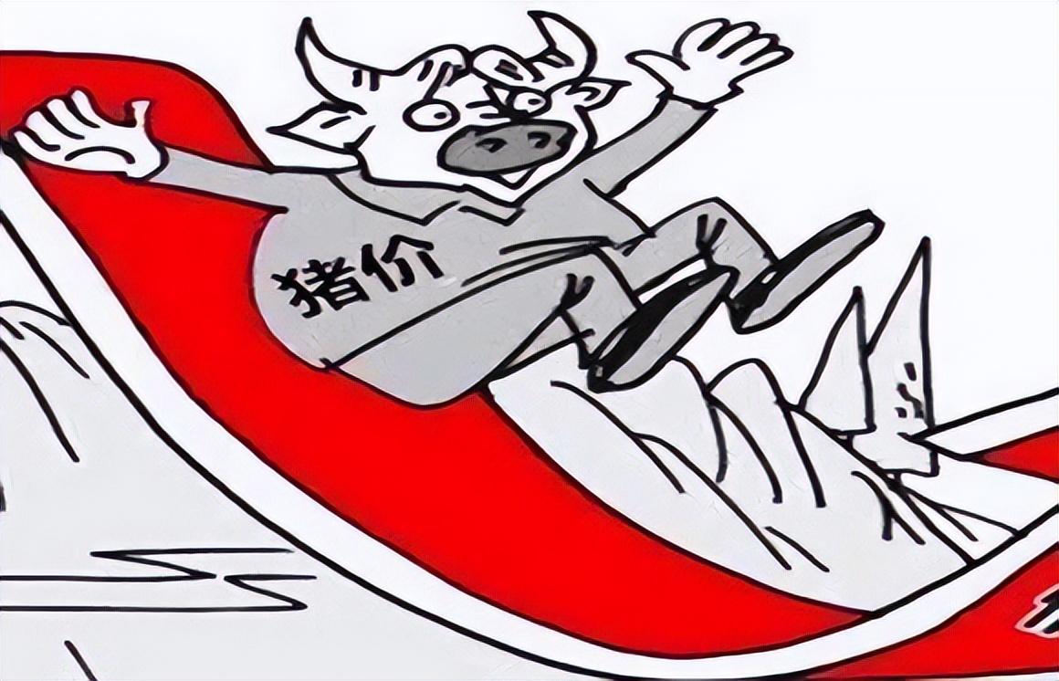 7月16日猪价,继续上涨(7月21日猪价突变) - 龙腾网