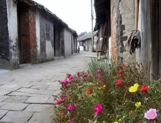 如皋市景点，如皋游玩景点（南通如皋最美3大古镇老街）