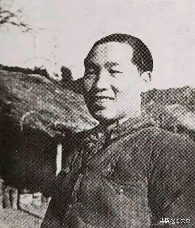朝鲜的国花是什么花，朝鲜的国花是什么花嘞叫什么名字来着（志愿军战地记者来到三八线）