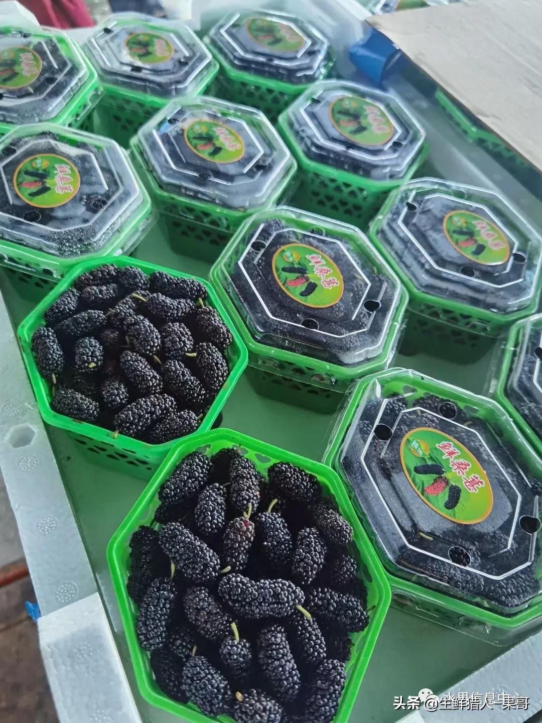 浆果是什么，浆果是什么软件（不同水果的不同包装<浆果篇>）