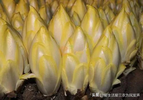 现在做什么生意最赚钱，现在什么生意好做（来做这五个小生意吧）