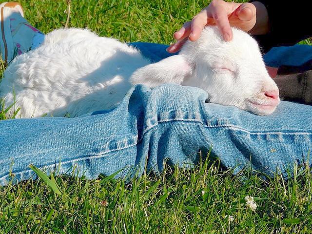 温柔的图片唯美，ins温柔唯美治愈系背景图，微信头像（生活明朗 万物可爱）