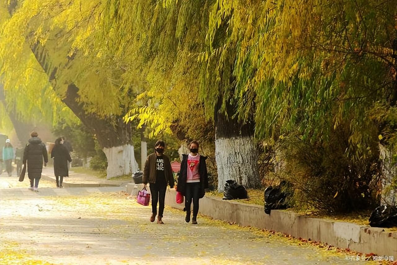 齊齊哈爾醫學院,哈爾濱金融學院,黑龍江工程學院,哈爾濱體育學院,黑河