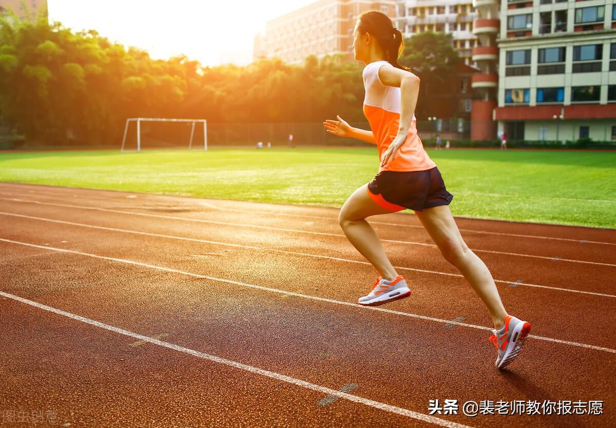 体育生高考分数怎么算（2022年山东体育类高考志愿填报解读）