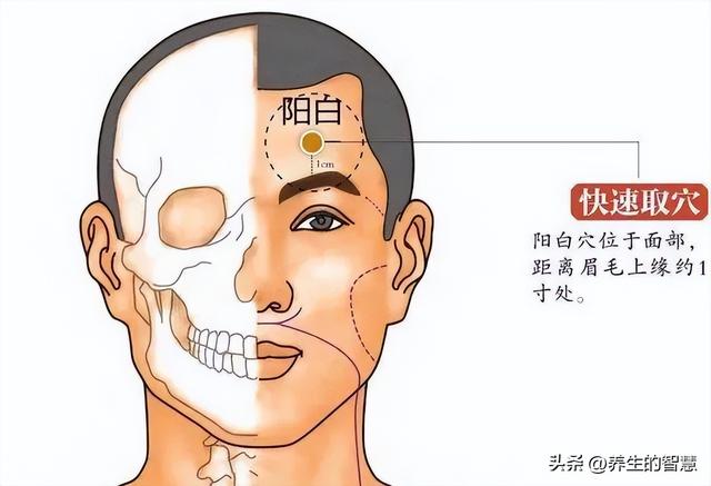 胆经的准确位置图，真人胆经穴位运行路线图（最完整的经络笔记）