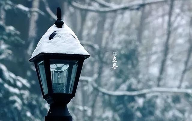 腊菜的做法大全，腊菜的家常做法（建议大家常做这3道腌菜）