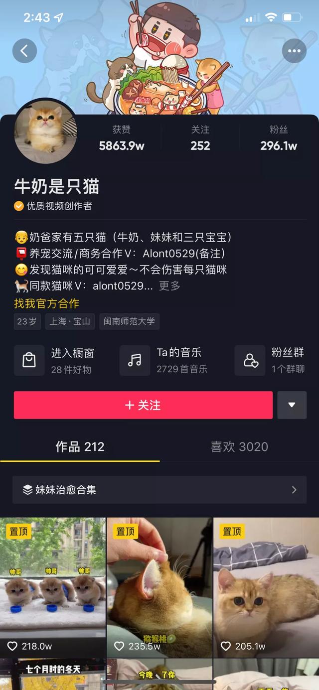 魔法哈奇怎么抓战宠，魔法哈奇怎么抓战宠视频（有一位以治愈系合集为主）