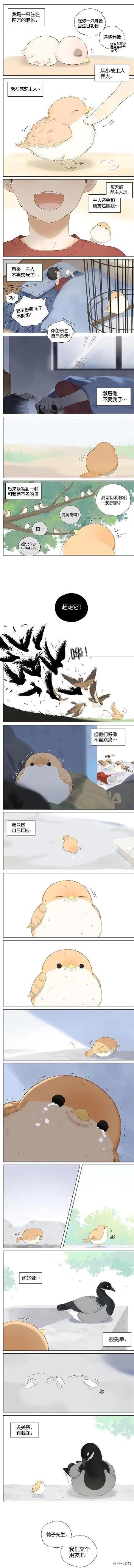 周黑鸭价格表，网红美食 ~周黑鸭好不好吃吗