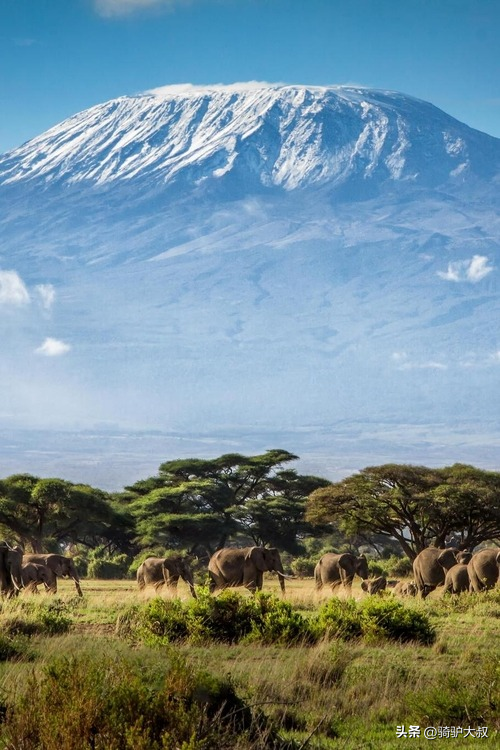 非洲最富有的国家，非洲富裕的国家排名（最穷国家津巴布韦）