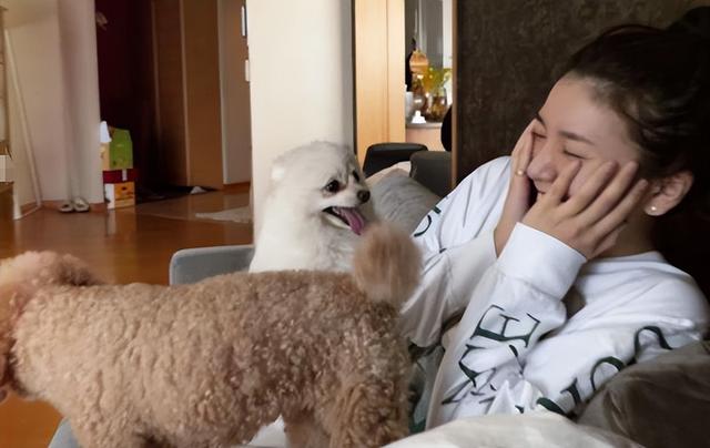 2022年四月结婚最吉利的日子，2022年4月结婚最吉利的日子（日本最丑陋的“性丑闻”）