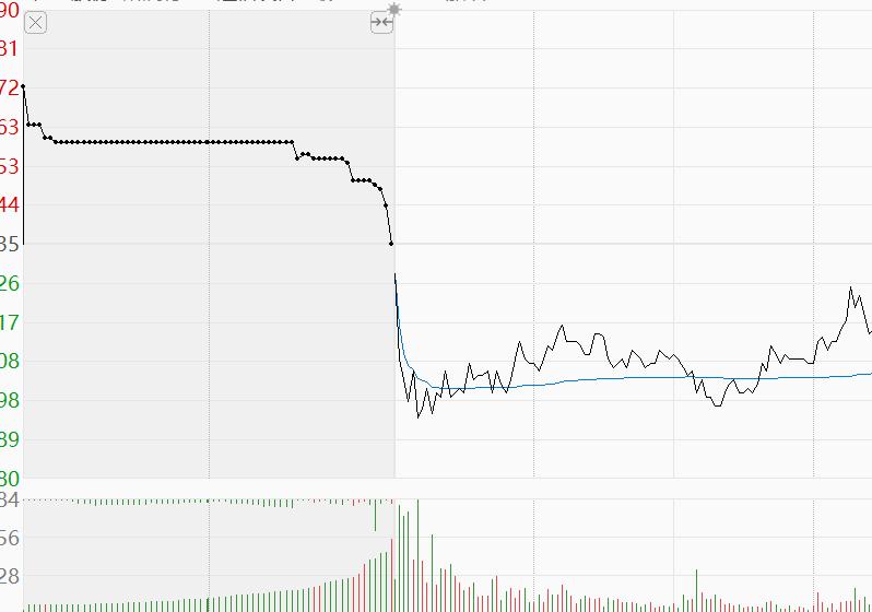 竞价技巧有哪些（集合竞价入门的7大技巧一览）