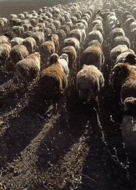 瑜伽裤爬山到底什么梗，爬山穿瑜伽裤是什么梗（不要穿瑜伽裤和男朋友去爬山）