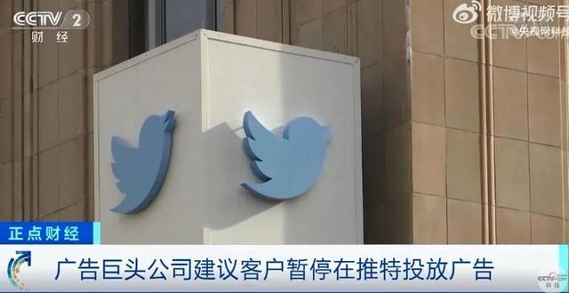 小蓝鸟是什么社交软件，推特“马化”，疼