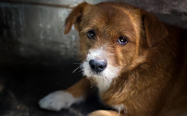 泰国与中国的时差是多少小时，泰国跟中国的时差是几个小时（关于泰国那些你不知道的事）