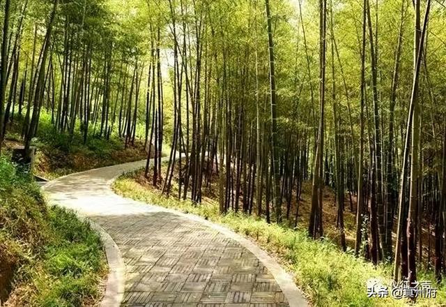 仪征附近有哪些景点，仪征市境内五座山