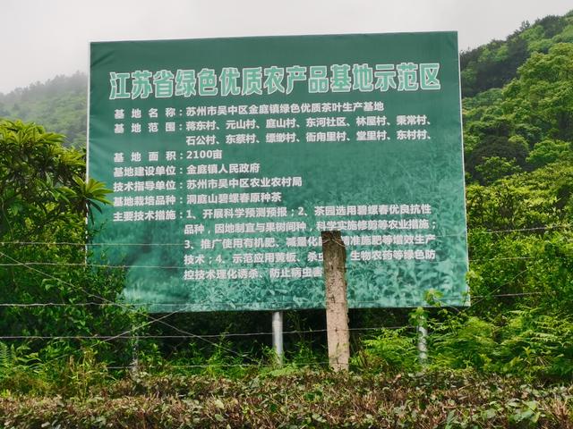 碧螺春产于哪里，碧螺春主要产于哪里（碧螺春又称\