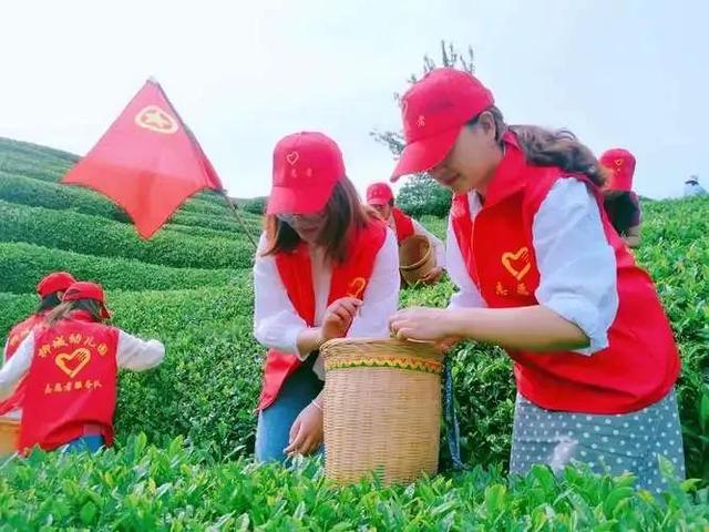 致终将逝去的青春百度影音，致我们终将逝去的青春在线观看（傅敬城-致青春）