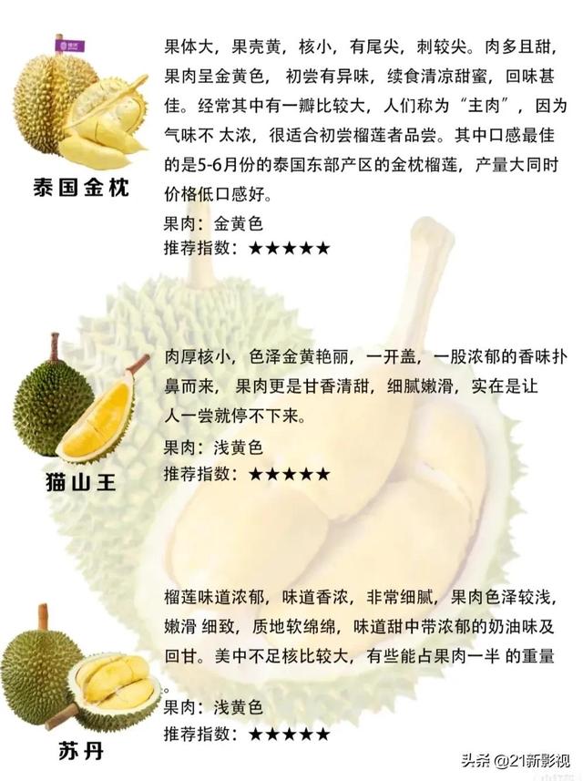 榴莲有什么品种，榴莲的品种有几种（榴莲品种大盘点）