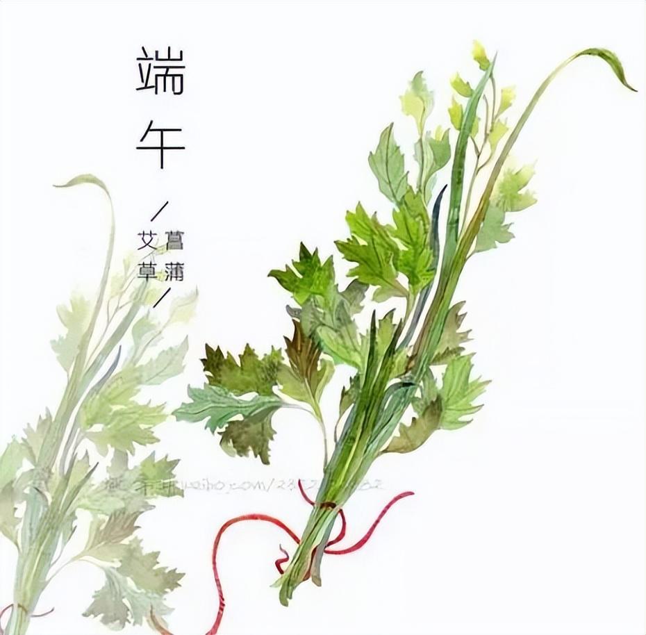 端午节是怎么来的(端午节的来历简短20字)插图(14)