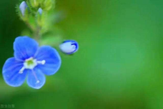 格物致知的意思，格物致知的含义（古今都错解的〖格物致知〗究竟是何意）