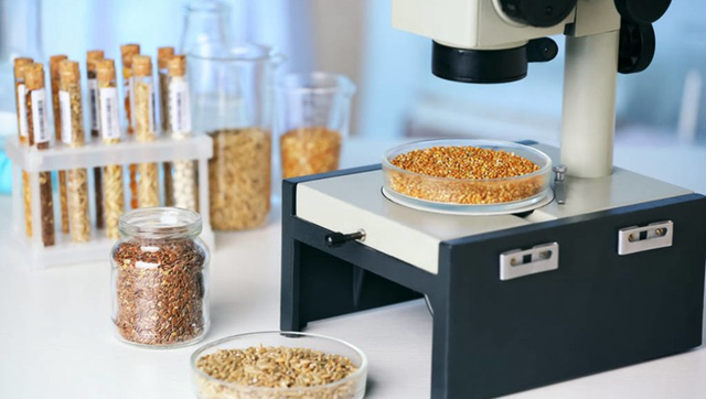 最有发展前景的行业，最有前景的十大行业是哪些（2022十大热度攀升专业）