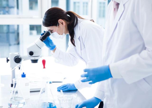 药剂学专业主要学什么，2021全国大学药剂学专业排名（药剂专业课程设置）