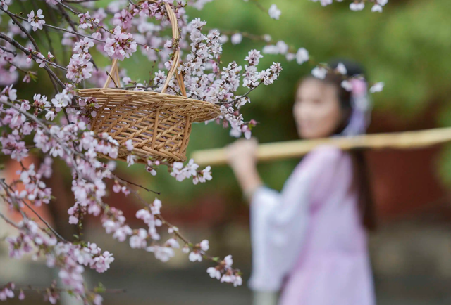 赞美春天的话，写一句赞美春天的话（有你未曾发现的风景）