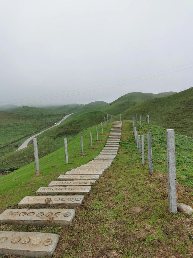 南山大草原烤全羊，湖南人家门口的南山牧场