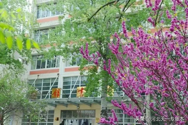 廊坊师范学院是一本还是二本，廊坊师范学院是几本_是一本还是二本大学（廊坊师范学院：缩招已成现实）