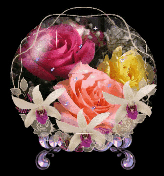 999朵玫瑰，送你999朵动态玫瑰花（999朵玫瑰邰正宵）