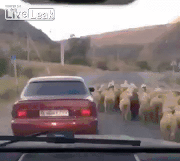 小耳朵是什么意思，微信界面有个小耳朵是什么意思（看着都不像一个人好吗）