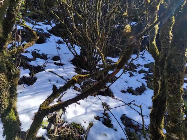 11月底去贵州旅游怎样，11月去贵州有什么好玩的（我去贵州玩了5天）