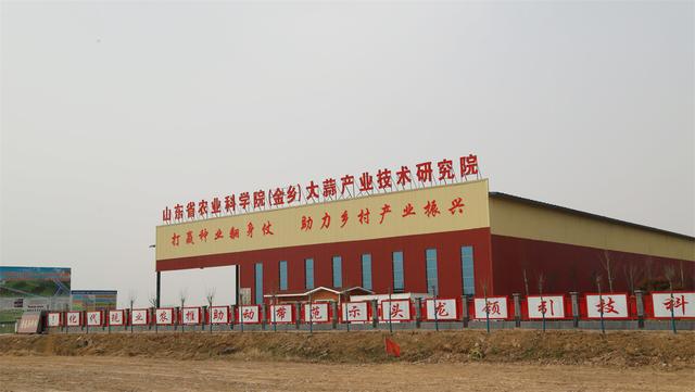 为什么不能随便带红绳，三种属相不能戴金（金乡大蒜扎上红绳为哪般）