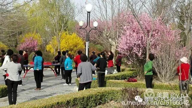 南山公园在哪里，深圳大南山公园开放时间（这是你们熟悉的那个南山公园吗）