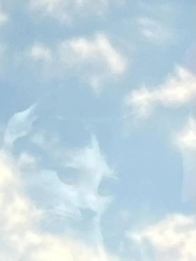 倒过来看很恶心的图，恐怖图片（这些迷惑性超强的错觉照片）