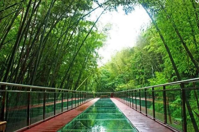 贵州旅游十大景点，贵州旅游十大景点排名千户苗寨（贵州十大冷门景点）