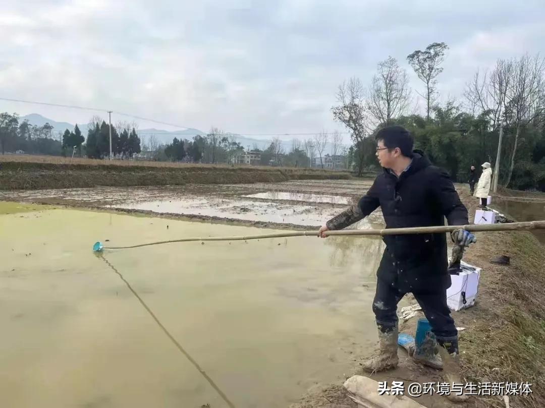 重庆干部网络学院登录(重庆干部网络学院分数)