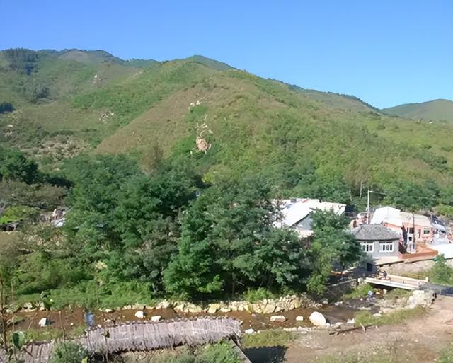 辽宁大悲寺苦行僧，辽宁大悲寺苦行僧说法（日睡4小时吃一餐）