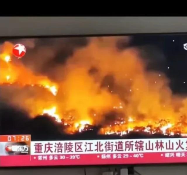 东方卫视主持人翻车事件详情，东方卫视被曝直播事故