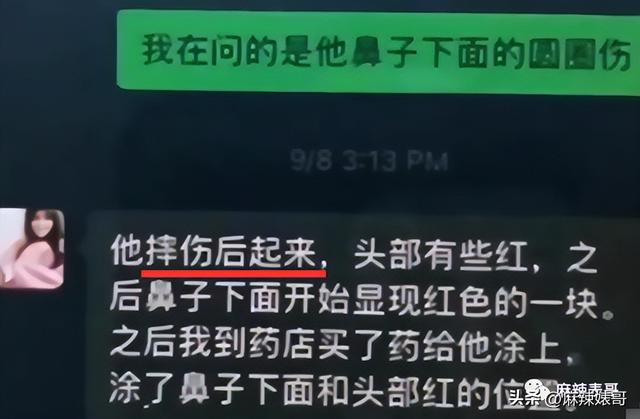 张恒曝郑爽代孕生了俩娃，素人爽和前夫开撕的瓜