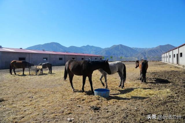 12月21日是什么日子，农历十二月二十一日是什么日子（金城最早的发源地西固）