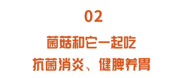 香菇香菇的营养价值及功效与作用，香菇功效和营养价值（会吃的人都这样搭配）